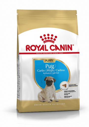 Royal Canin Pug Puppy 1,5kg