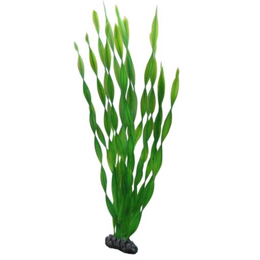 Dohse HOBBY Vallisneria 46 cm SB