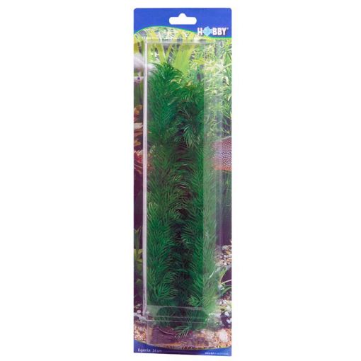 Dohse HOBBY Egeria 34 cm