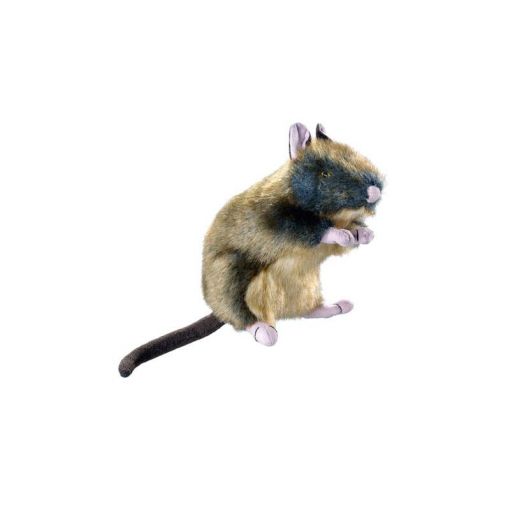 Hunter Hundespielzeug Wildlife Rat M