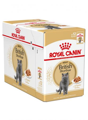 Royal Canin Feline British Shorthair Adult in Soße P.B. Multipack 12x85g